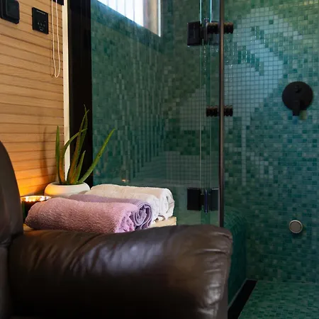 Baroque Art With Pool, Sauna And Gym Villa Pridraga