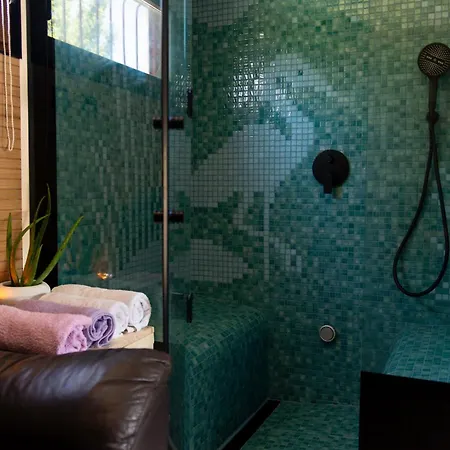 Baroque Art With Pool, Sauna And Gym Pridraga